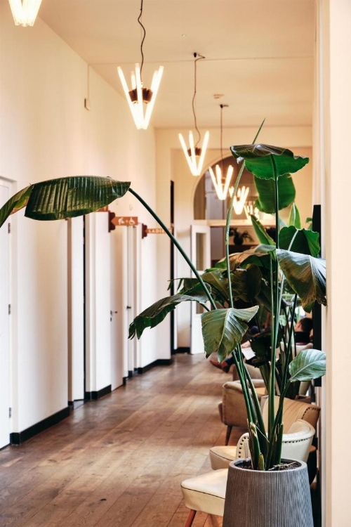 Hotel Arena image 10